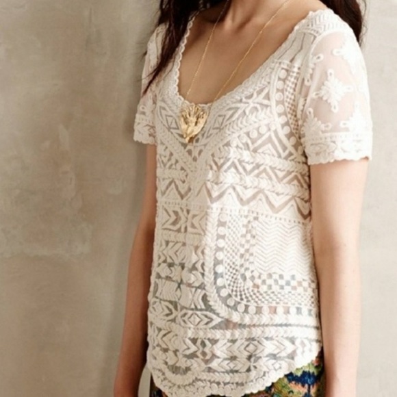 ANTHRO Ivory Embroidered Lace and Mesh Top - Picture 7 of 7